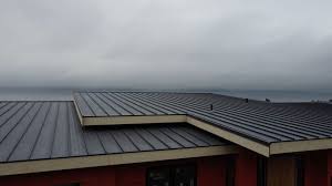 Best Roof Ventilation Installation  in Aurora, IN